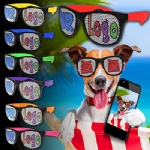Billboard Sunglasses